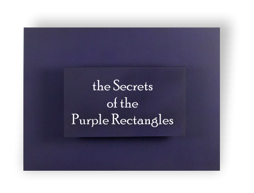 Logo en secrets purple rectangles